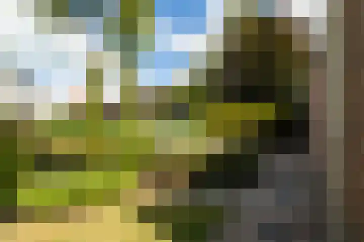 Warring 65 Joure thumbnail 56