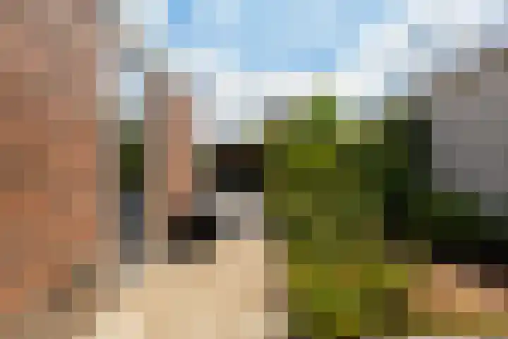 Warring 65 Joure thumbnail 57