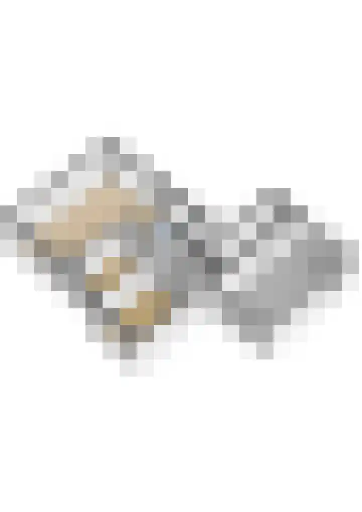 Warring 65 Joure thumbnail 70