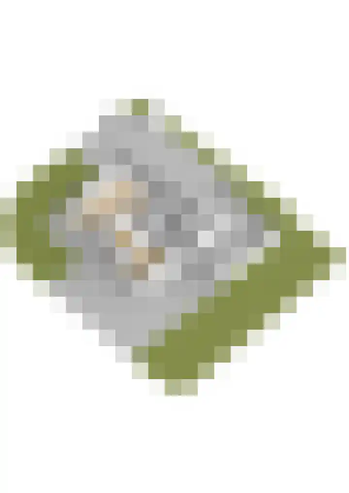 Warring 65 Joure thumbnail 74