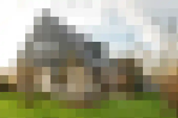 Warring 83 Joure thumbnail 27