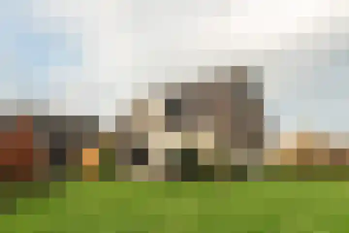 Warring 83 Joure thumbnail 28