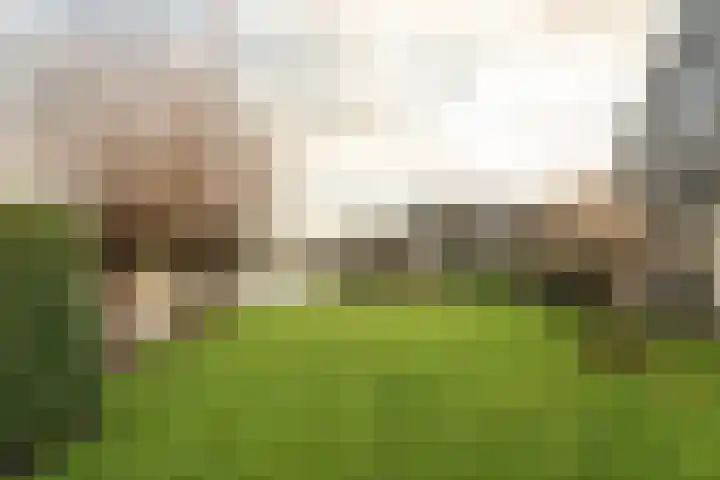 Warring 83 Joure thumbnail 29