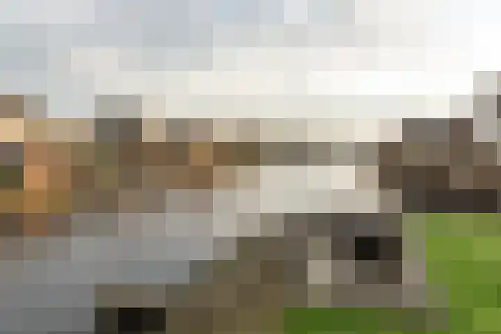 Warring 83 Joure thumbnail 30