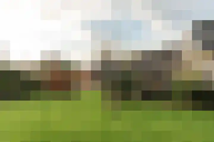 Warring 83 Joure thumbnail 31