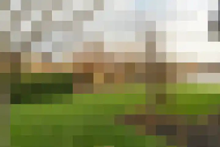 Warring 83 Joure thumbnail 32