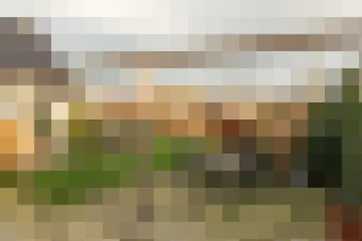 Warring 83 Joure thumbnail 33