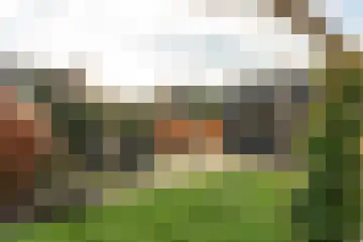 Warring 83 Joure thumbnail 35
