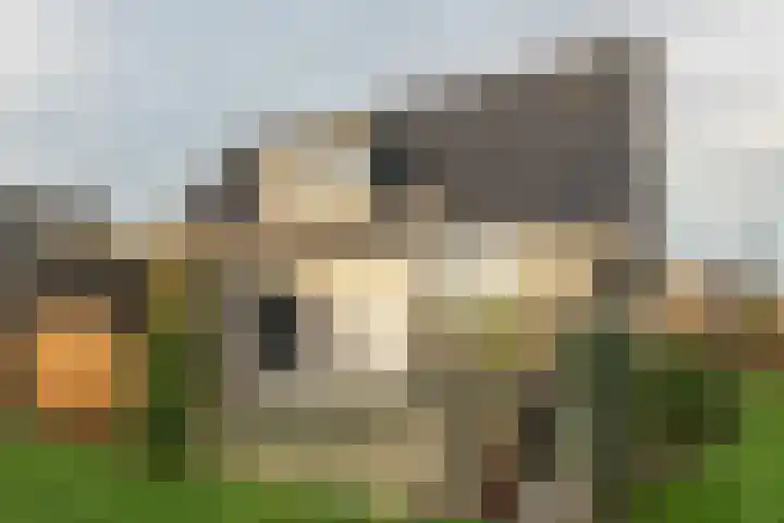 Warring 83 Joure thumbnail 36