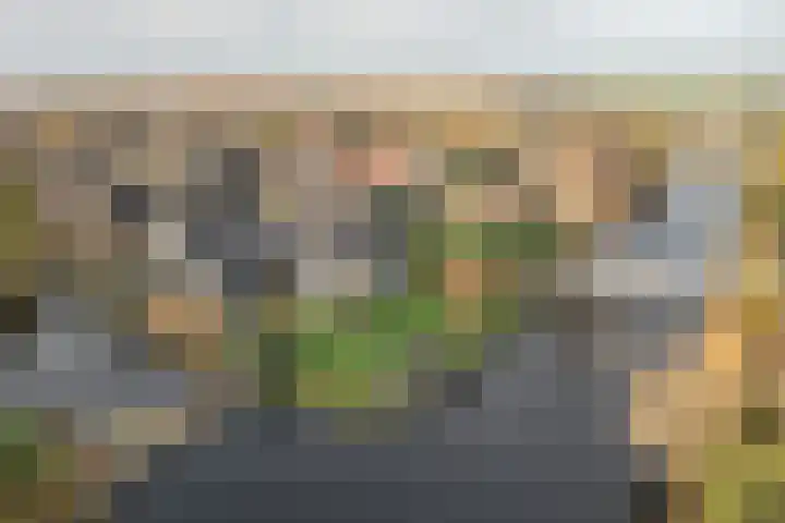 Warring 83 Joure thumbnail 37