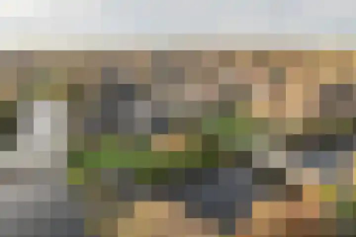 Warring 83 Joure thumbnail 38
