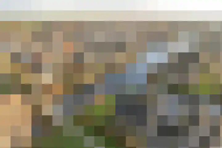 Warring 83 Joure thumbnail 39