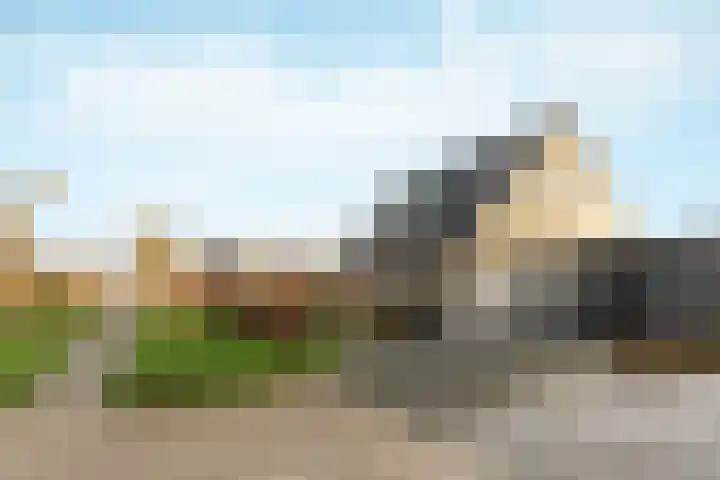 Warring 83 Joure thumbnail 6