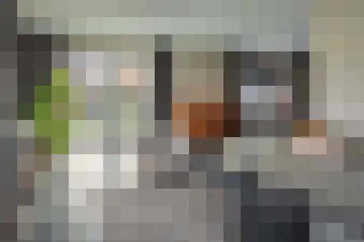 Warring 83 Joure thumbnail 8