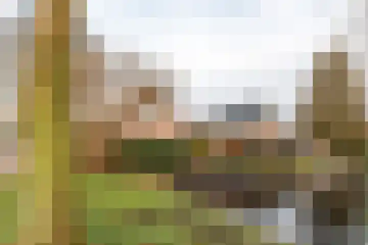 Warring 89 Joure thumbnail 37