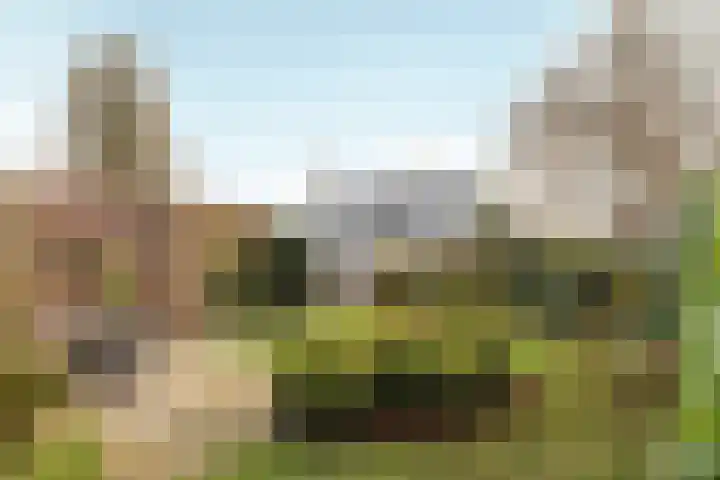 Warring 89 Joure thumbnail 40