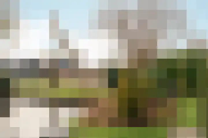Warring 89 Joure thumbnail 41