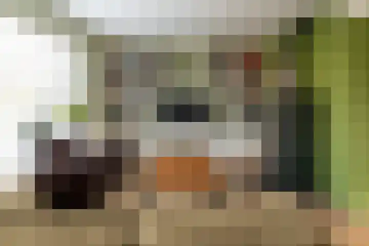 Warring 89 Joure thumbnail 8