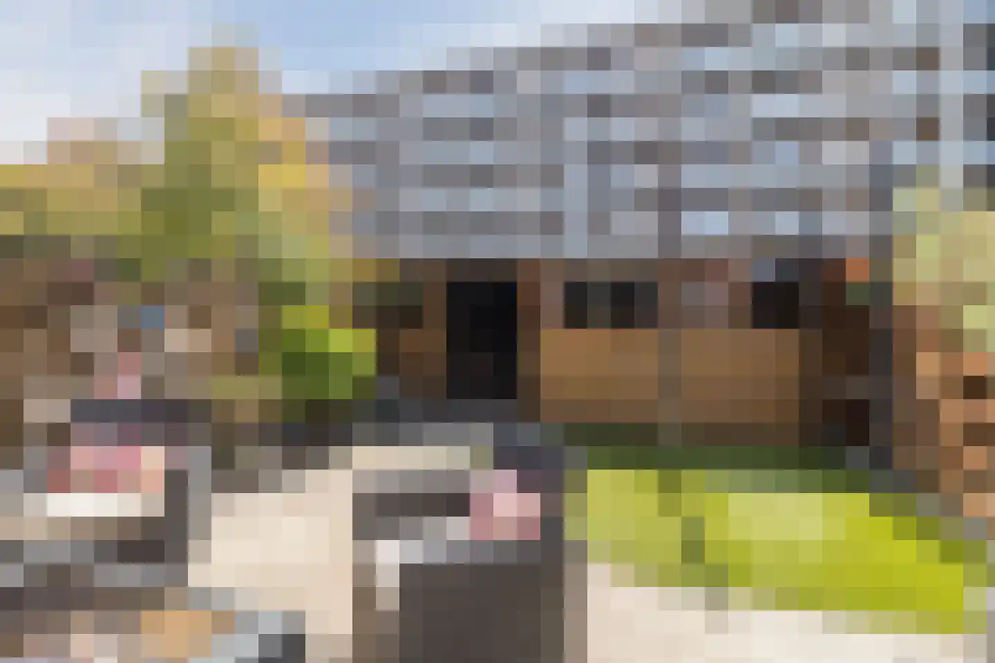 Warschaustraat 23 Den Haag thumbnail 17