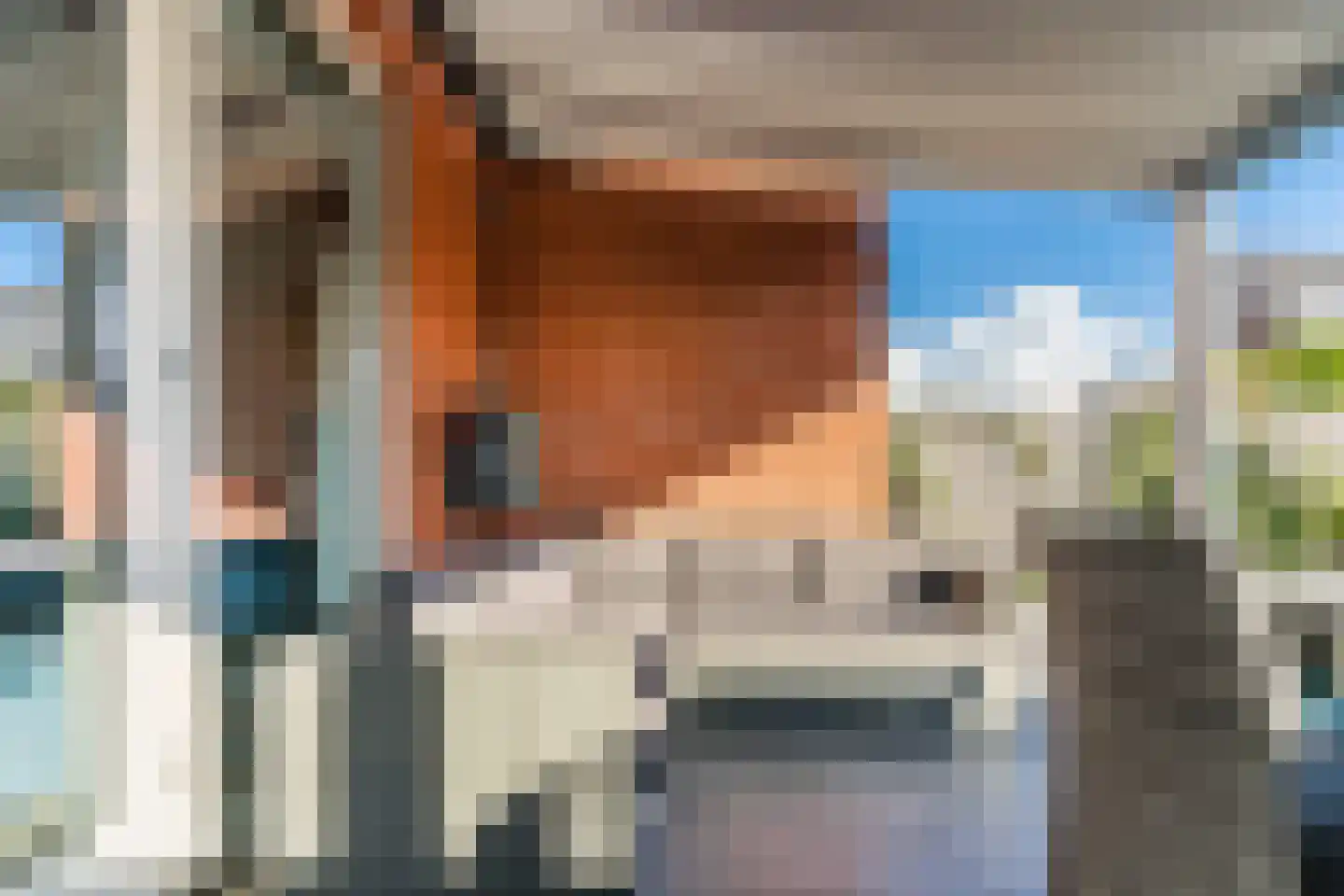 Warsloot 8 Alkmaar thumbnail 14