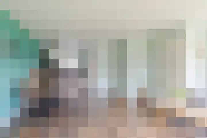 Wartenterp 12 Abbega thumbnail 10
