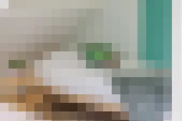 Wartenterp 12 Abbega thumbnail 21