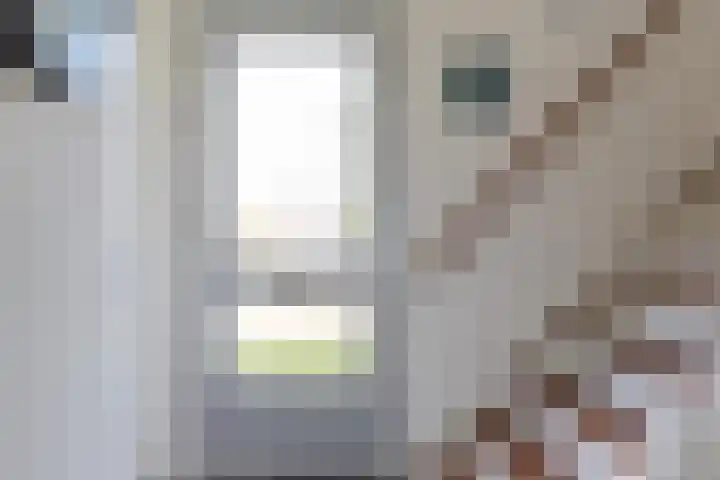 Wartenterp 12 Abbega thumbnail 5