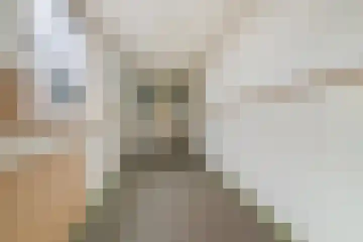 Wartenterp 17 Abbega thumbnail 10