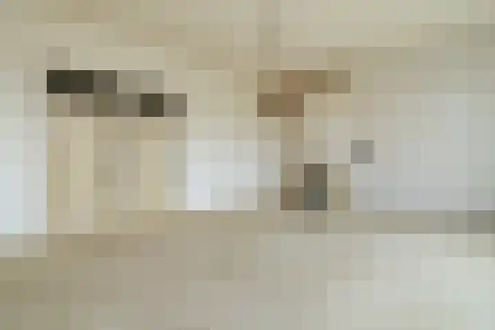 Wartenterp 17 Abbega thumbnail 15