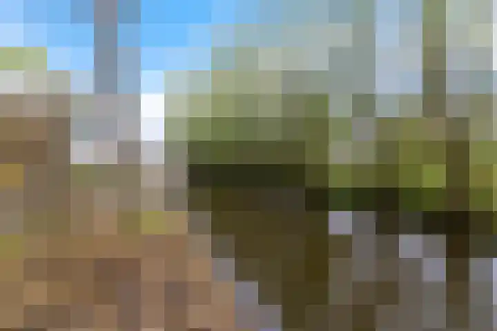 Wartenterp 17 Abbega thumbnail 27