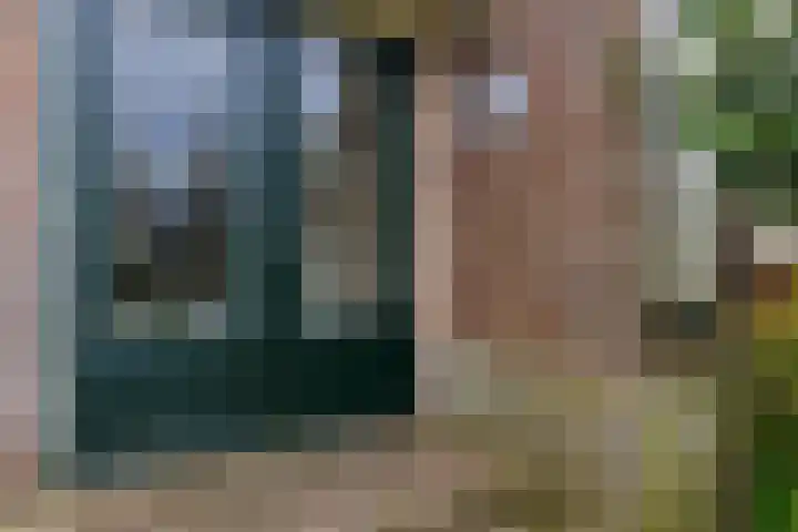 Wartenterp 17 Abbega thumbnail 5