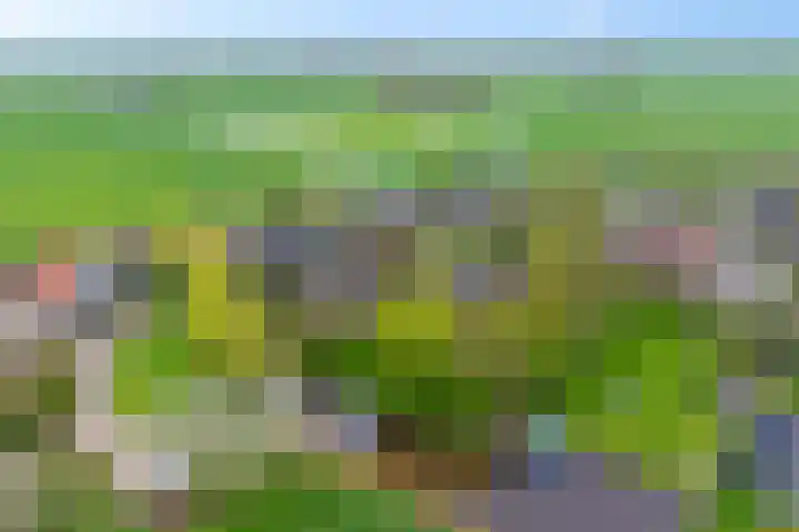 Wartenterp 17 Abbega thumbnail 8