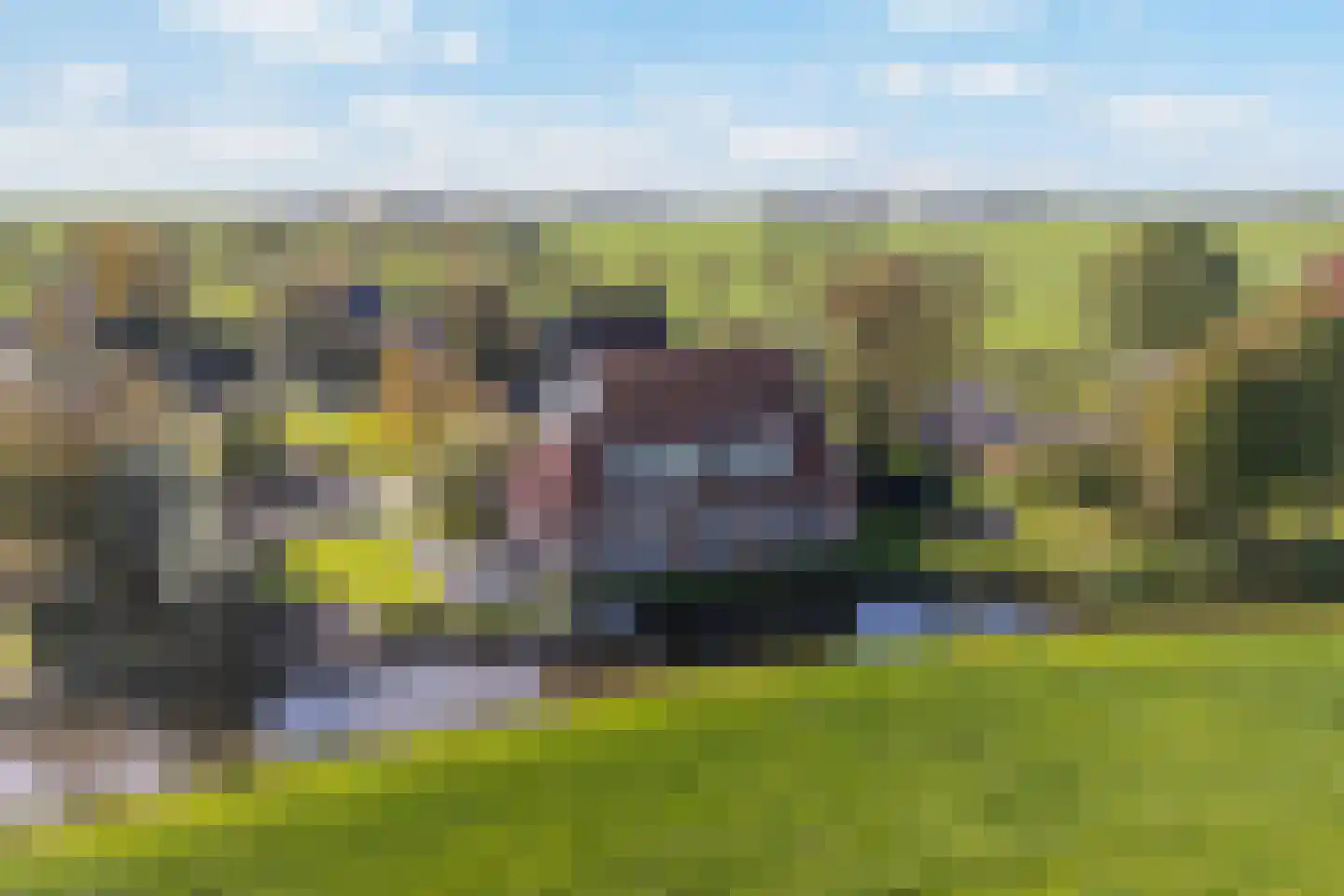 Wartenterp 3 Abbega