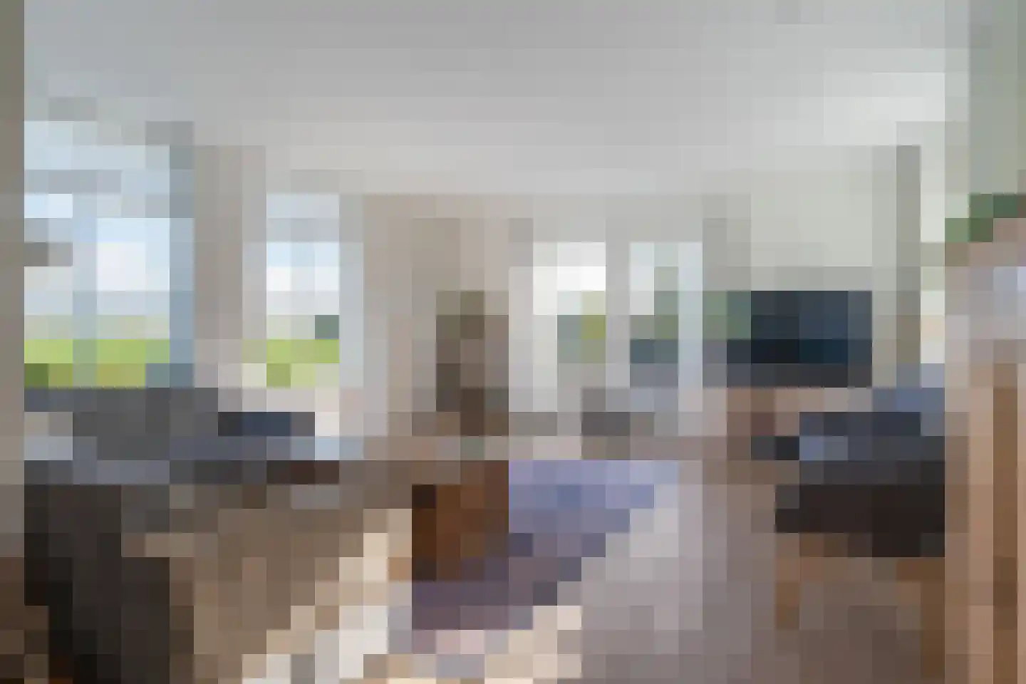 Wartenterp 3 Abbega thumbnail 12