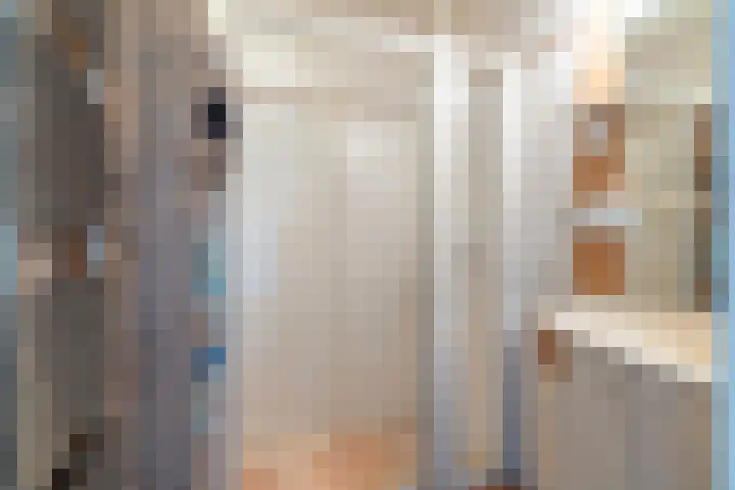 Wartenterp 3 Abbega thumbnail 24