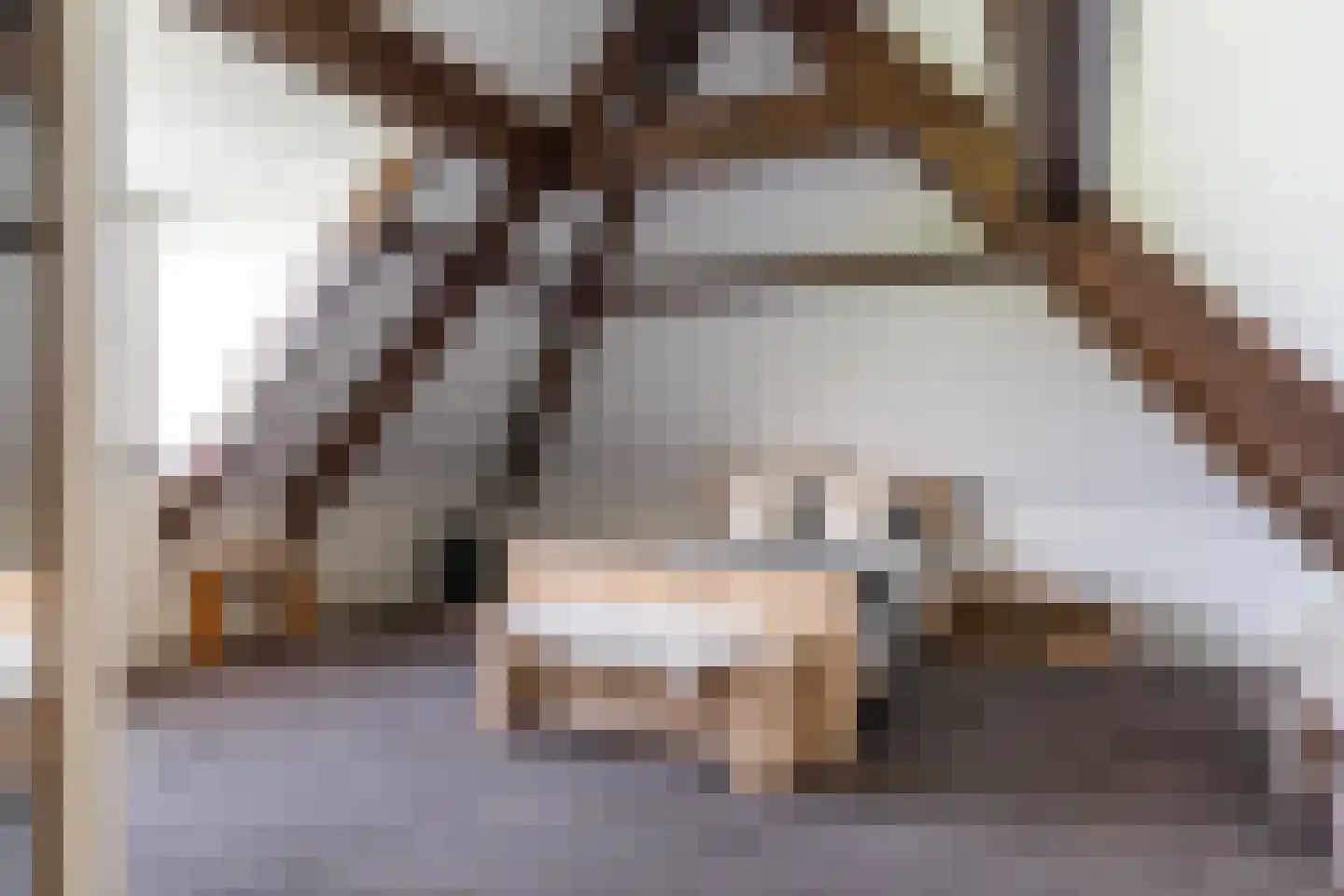 Wartenterp 3 Abbega thumbnail 30