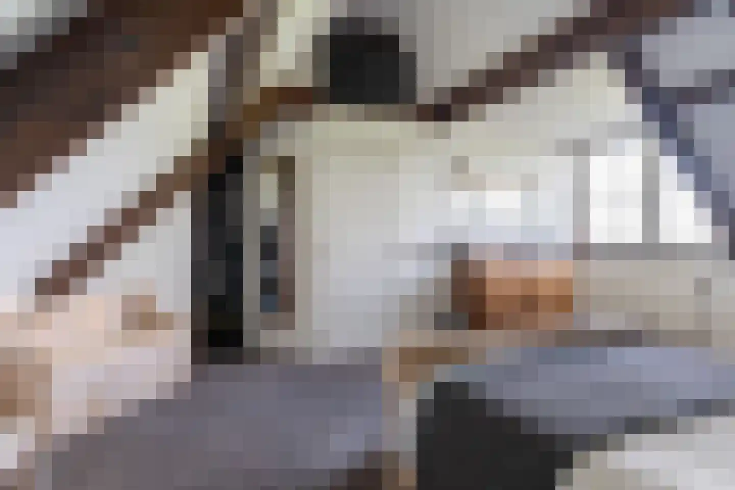 Wartenterp 3 Abbega thumbnail 31