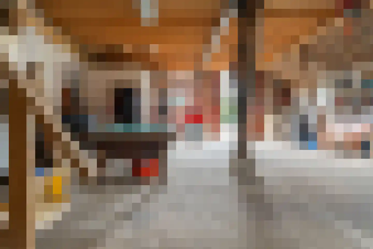 Wartenterp 3 Abbega thumbnail 38