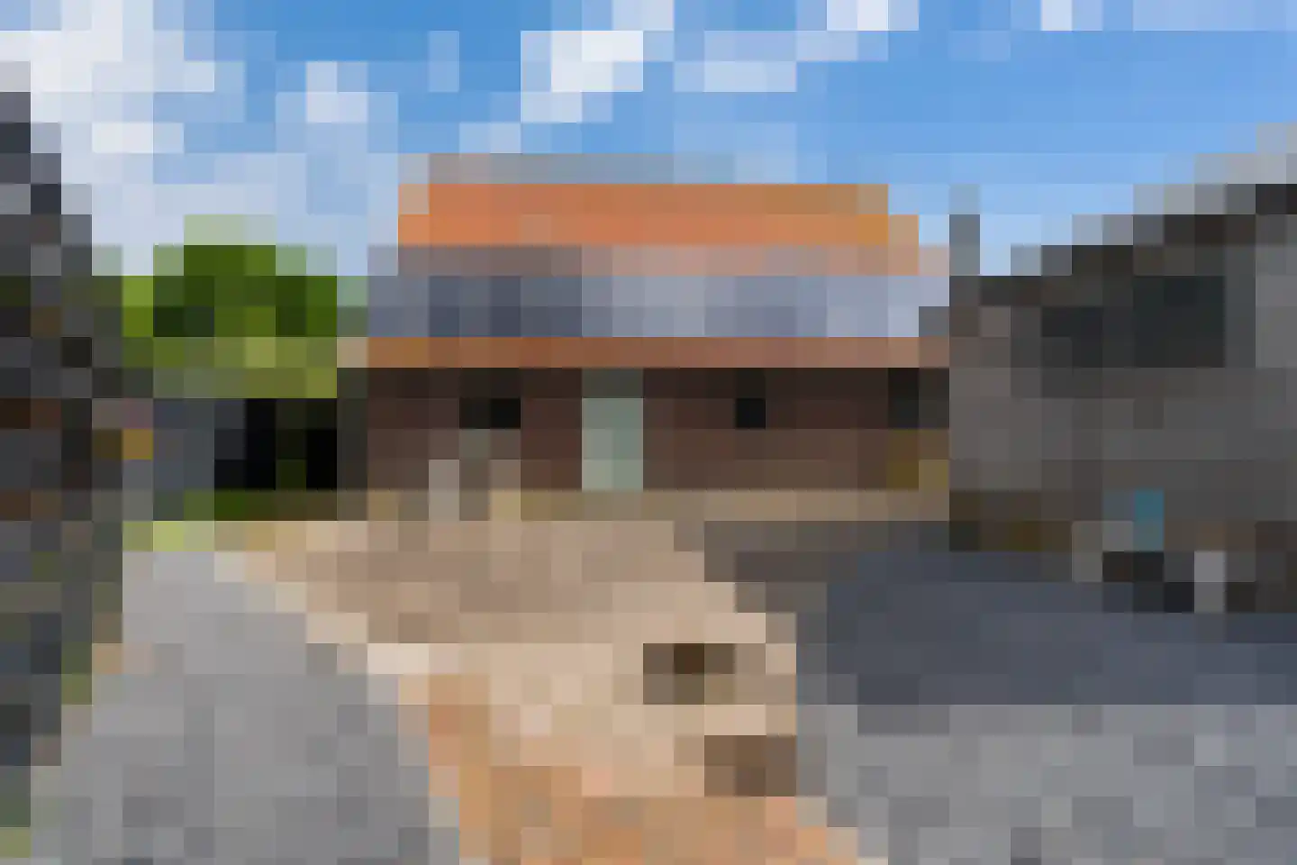 Wartenterp 3 Abbega thumbnail 45