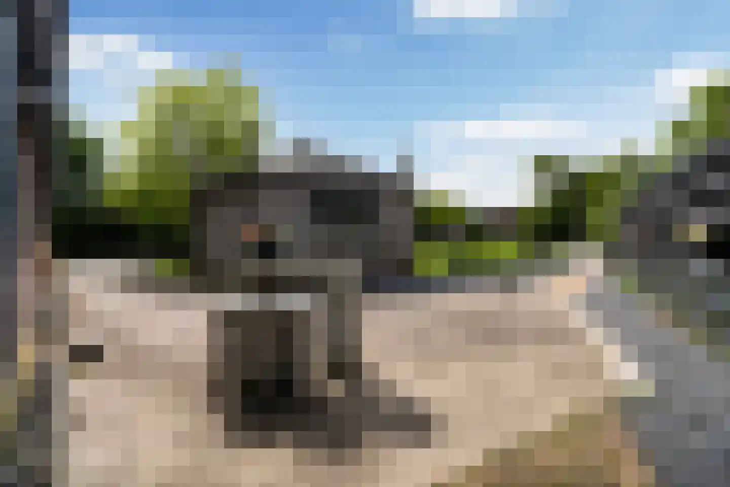 Wartenterp 3 Abbega thumbnail 47