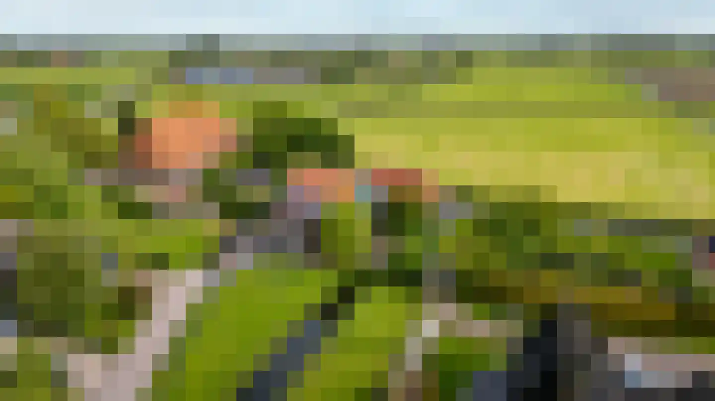 Wartenterp 3 Abbega thumbnail 5