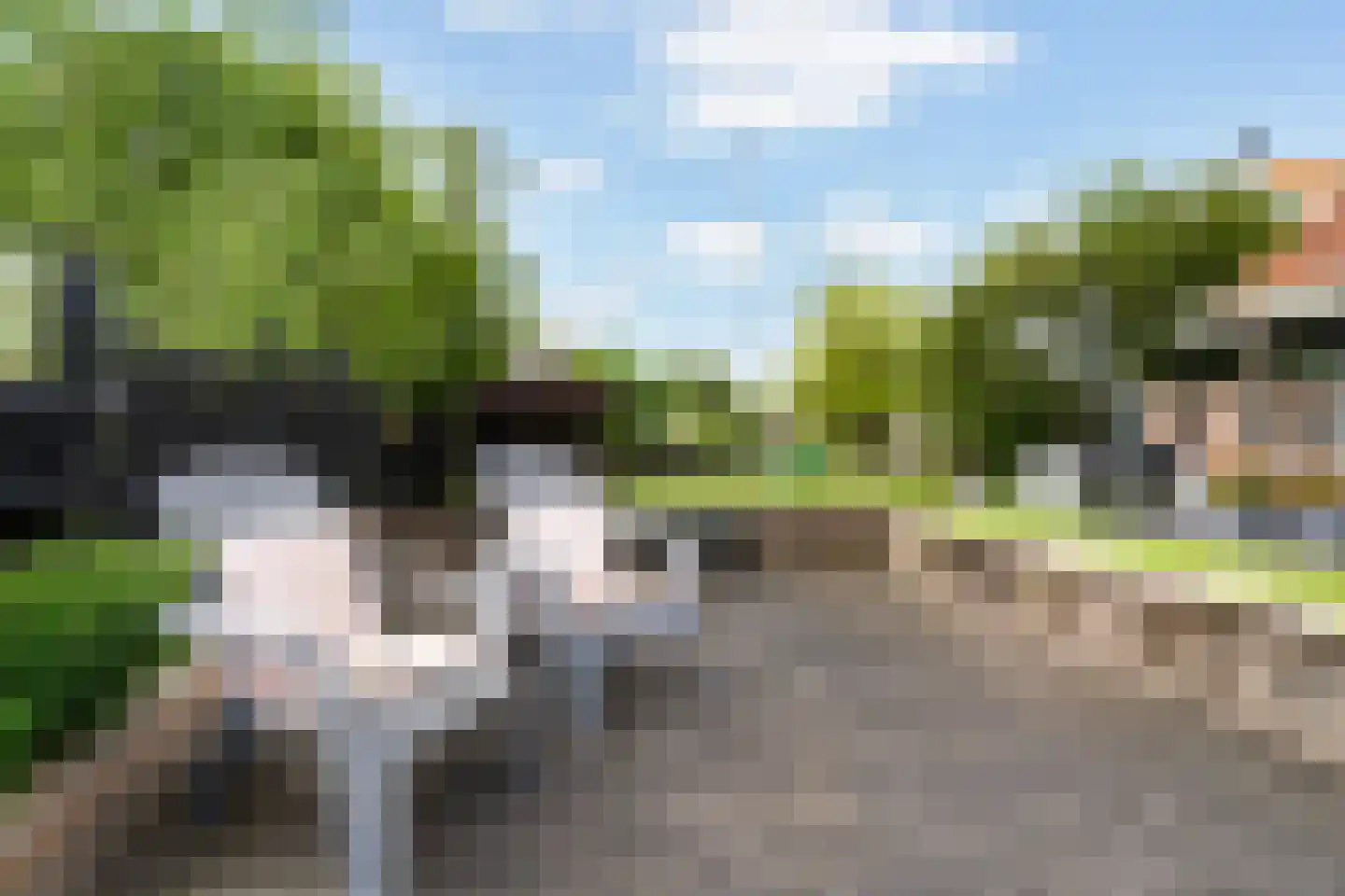 Wartenterp 3 Abbega thumbnail 56