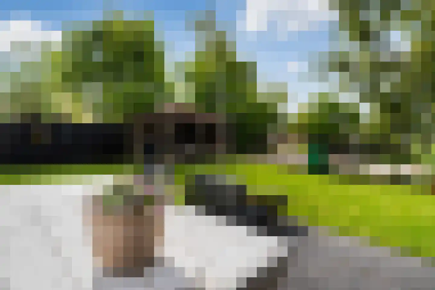 Wartenterp 3 Abbega thumbnail 58