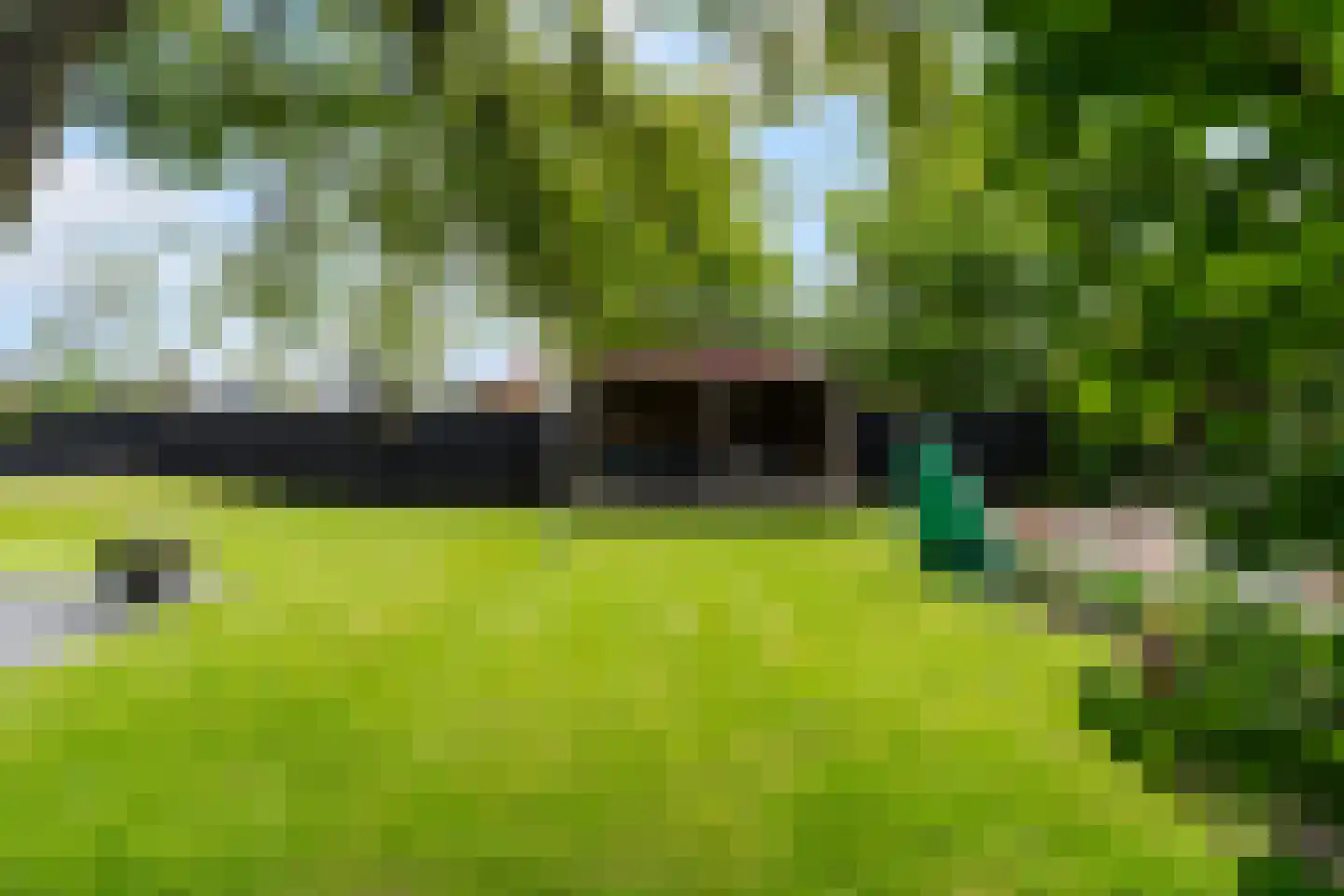 Wartenterp 3 Abbega thumbnail 61