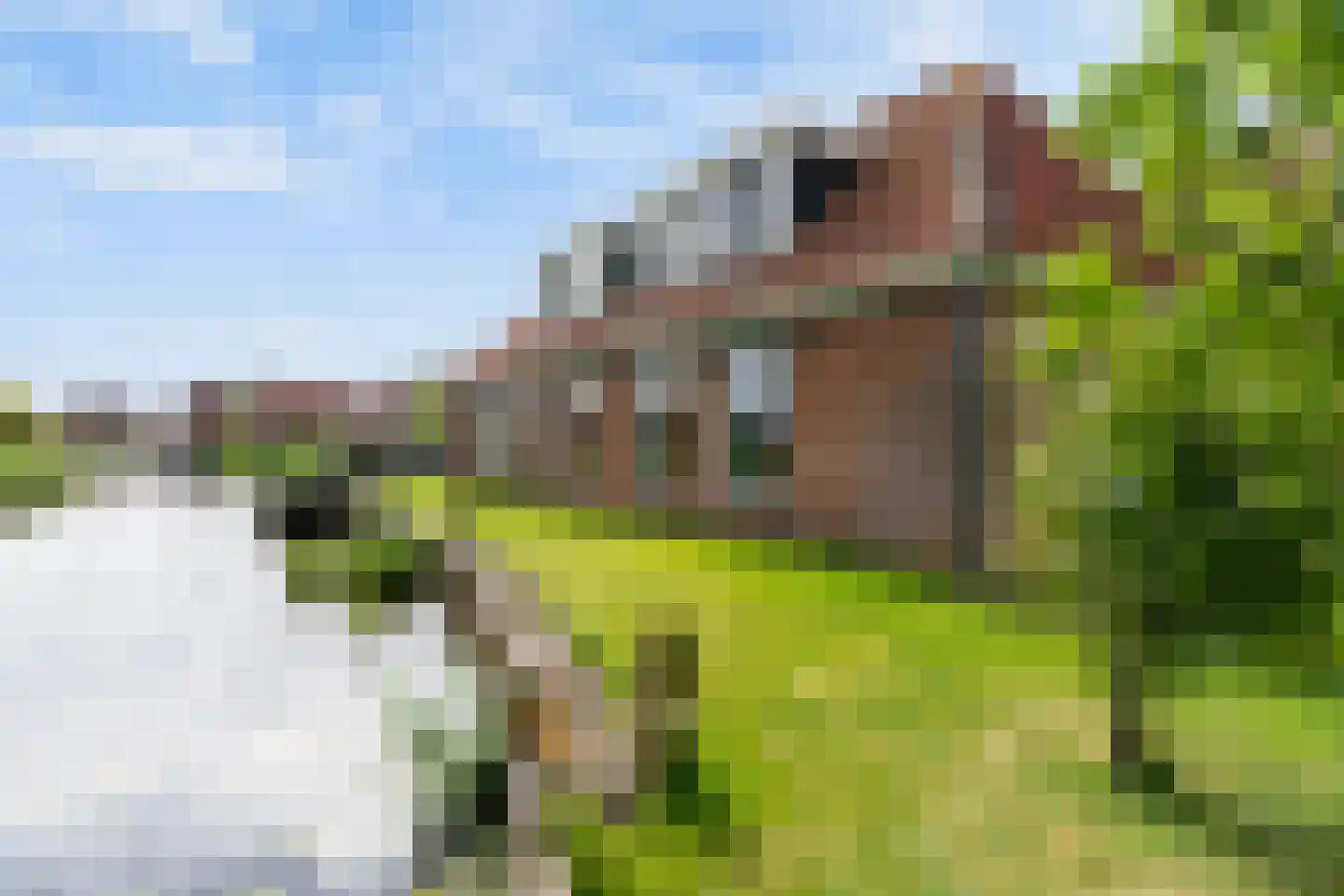 Wartenterp 3 Abbega thumbnail 63