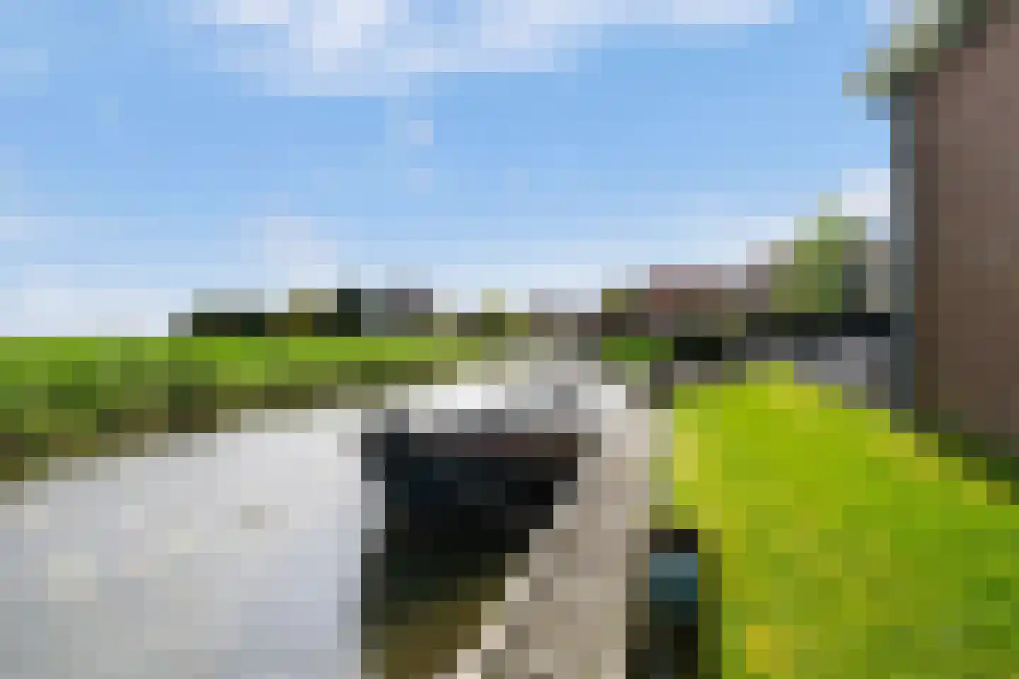 Wartenterp 3 Abbega thumbnail 66