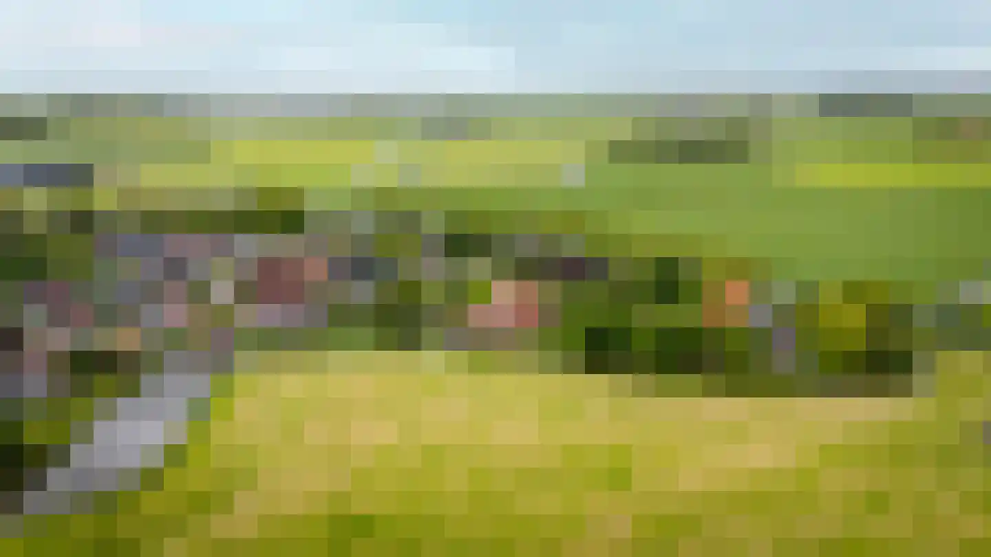 Wartenterp 3 Abbega thumbnail 68