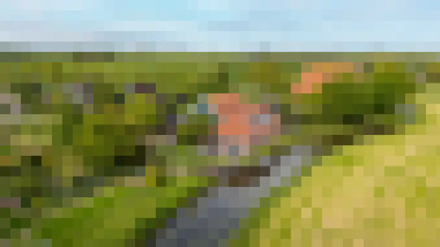 Wartenterp 3 Abbega thumbnail 69