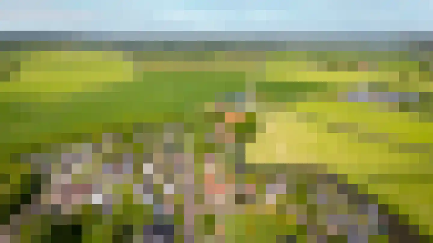 Wartenterp 3 Abbega thumbnail 70