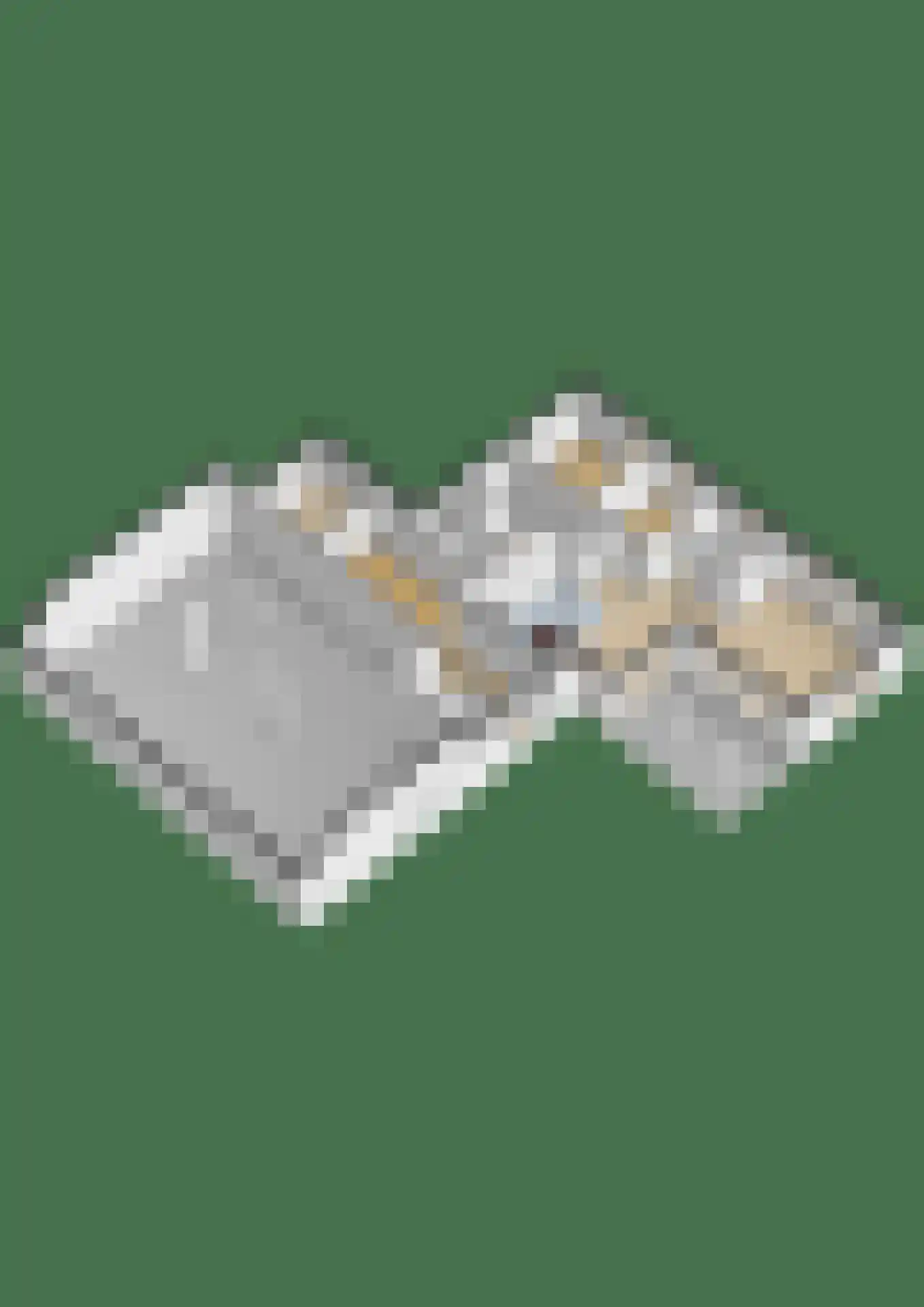 Wartenterp 3 Abbega thumbnail 77